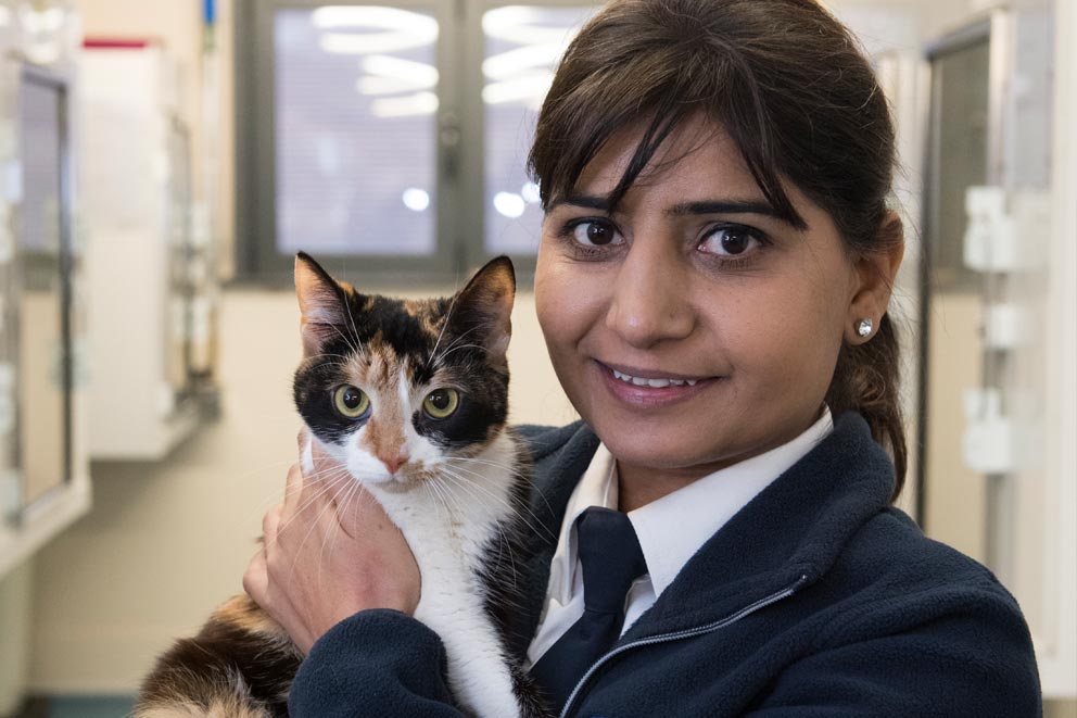 An RSPCA inspector holding a cat and smiling to camera.
