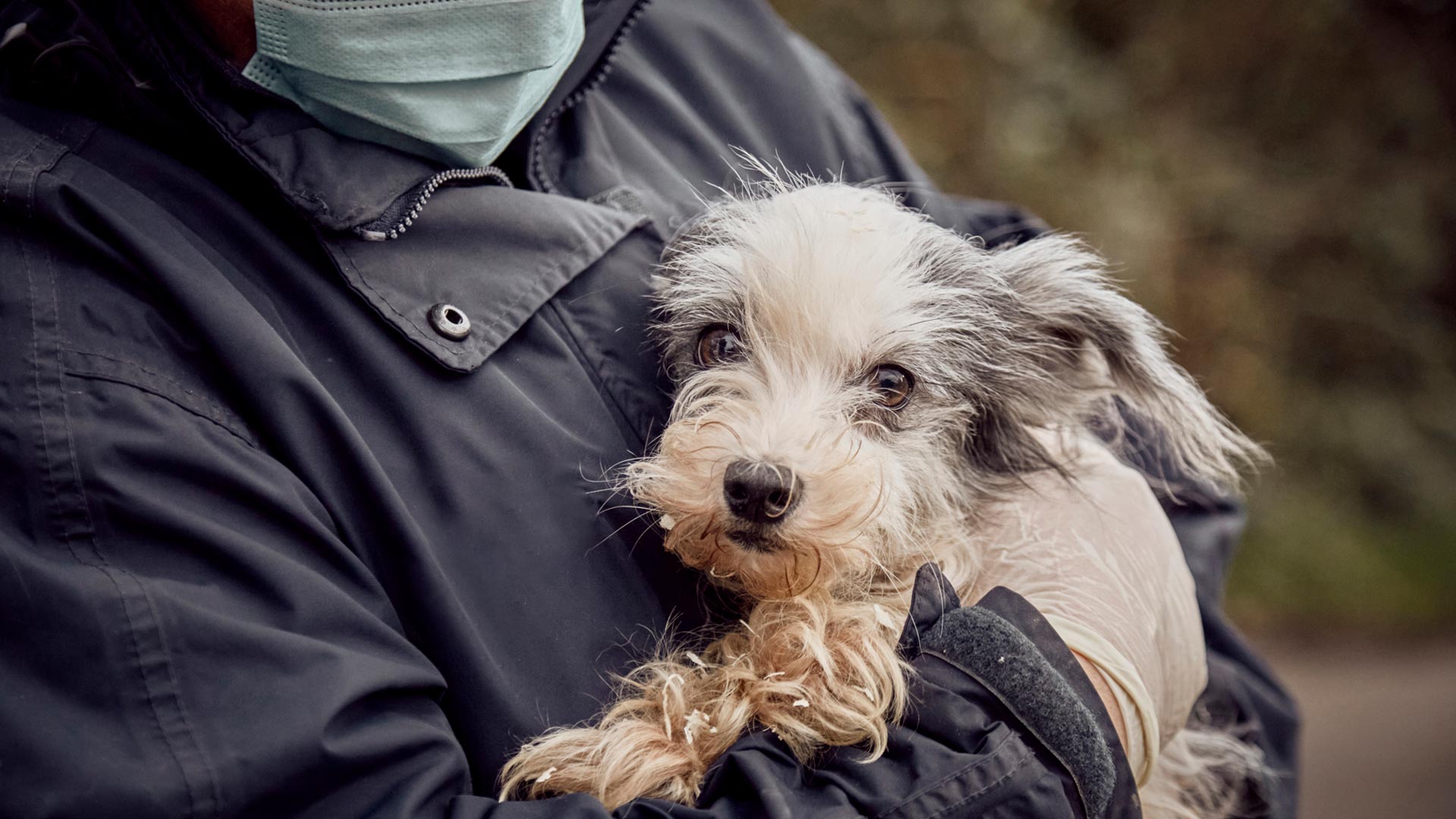 An RSPCA inspector holding a rescued dog.