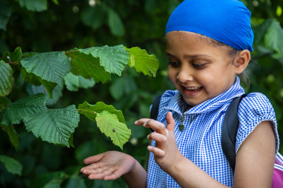 A primary school-aged girl discovering a small insect on a leaf outside.