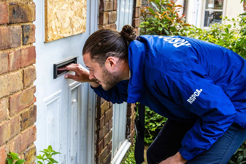 RSPCA inspector looking through a letterbox while carrying out an animal welfare investigation.