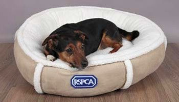 Serta small dog outlet bed