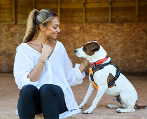 Alesha Dixon sitting in front of Roy, a white and brown staffie mix, hiding treats in one hand and petting him with the other.