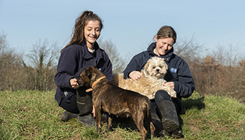 rspca Hondentraining walkie talkies