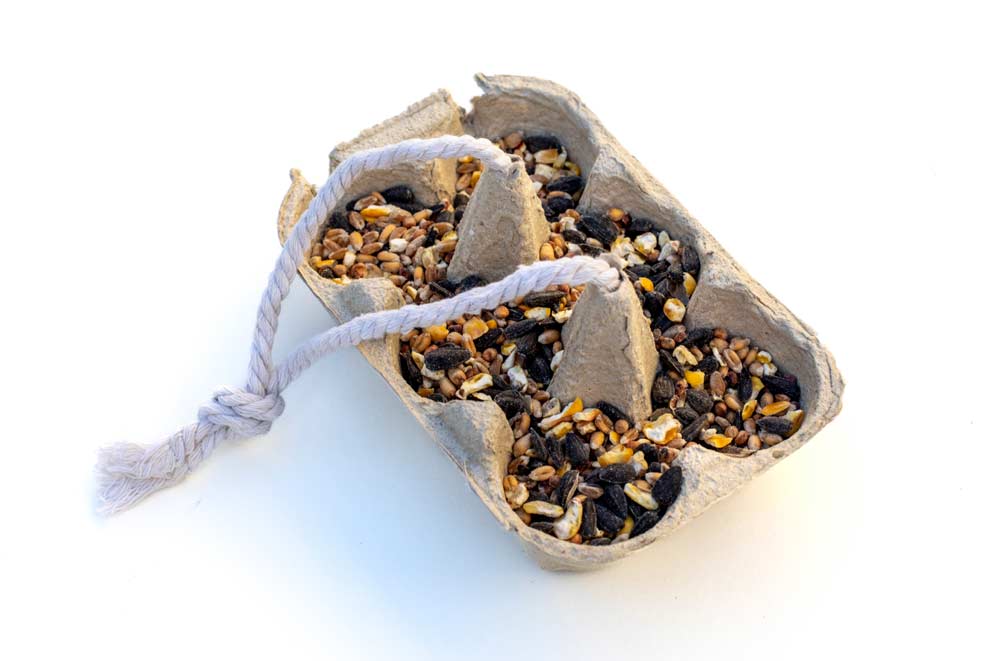 Recycled cardboard egg carton filled with mixed bird seed and strung with white rope to create a simple homemade bird feeder.