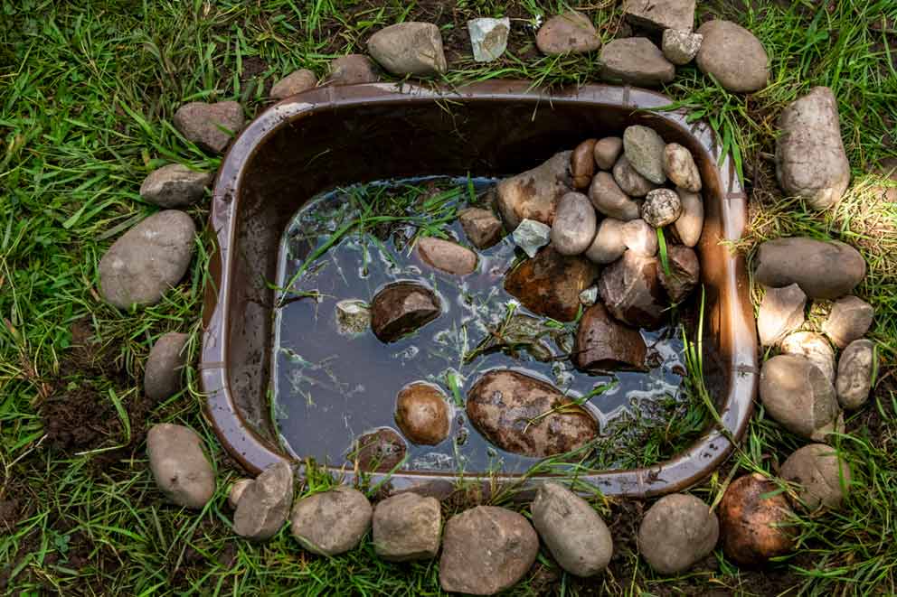 A small brown plastic container sunk into the grass and filled with water, pebbles, and stones to form a mini wildlife pond. Larger rocks surround the pond’s edge, with a pile of stones forming a ramp for animals to enter and exit safely.