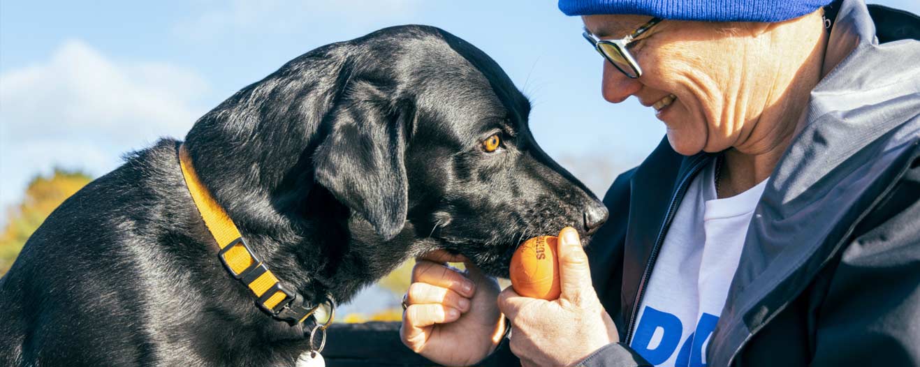 A dog and their owner playing ball outside.