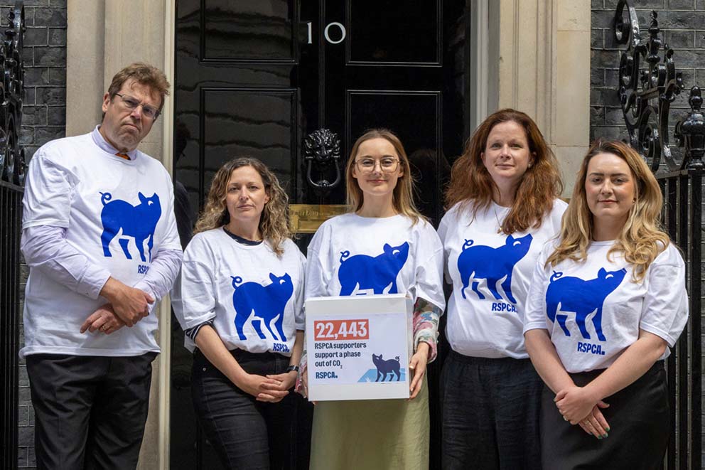 RSPCA staff hand in a petition against the use of carbon dioxide (CO2) for the slaughter of pigs.