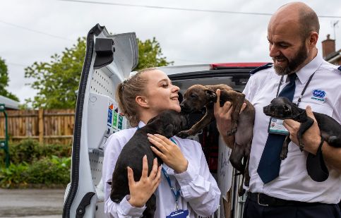 Rspca store pet rescue