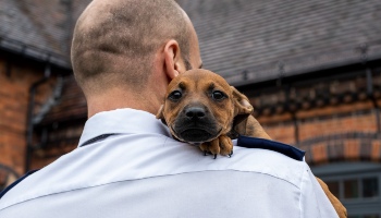 can 4 week old puppies go outside