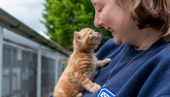 Cat only store shelters near me