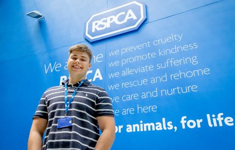 Jobs | RSPCA - RSPCA - Rspca.org.uk