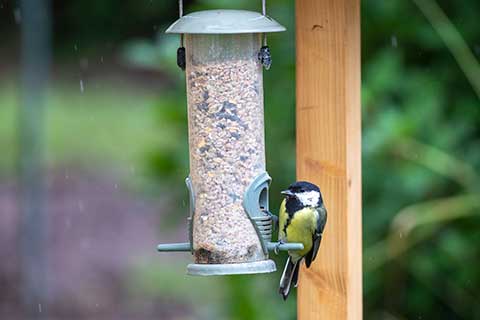 Woodstream  Solving Pest & Animal Control needs, providing environmentally  friendly Lawn & Garden products and Supporting bird enthusiasts with  innovative choices for Backyard Birdfeeding.