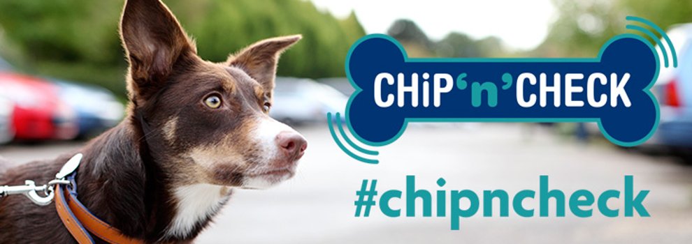 do you need to register if your dog is chipped