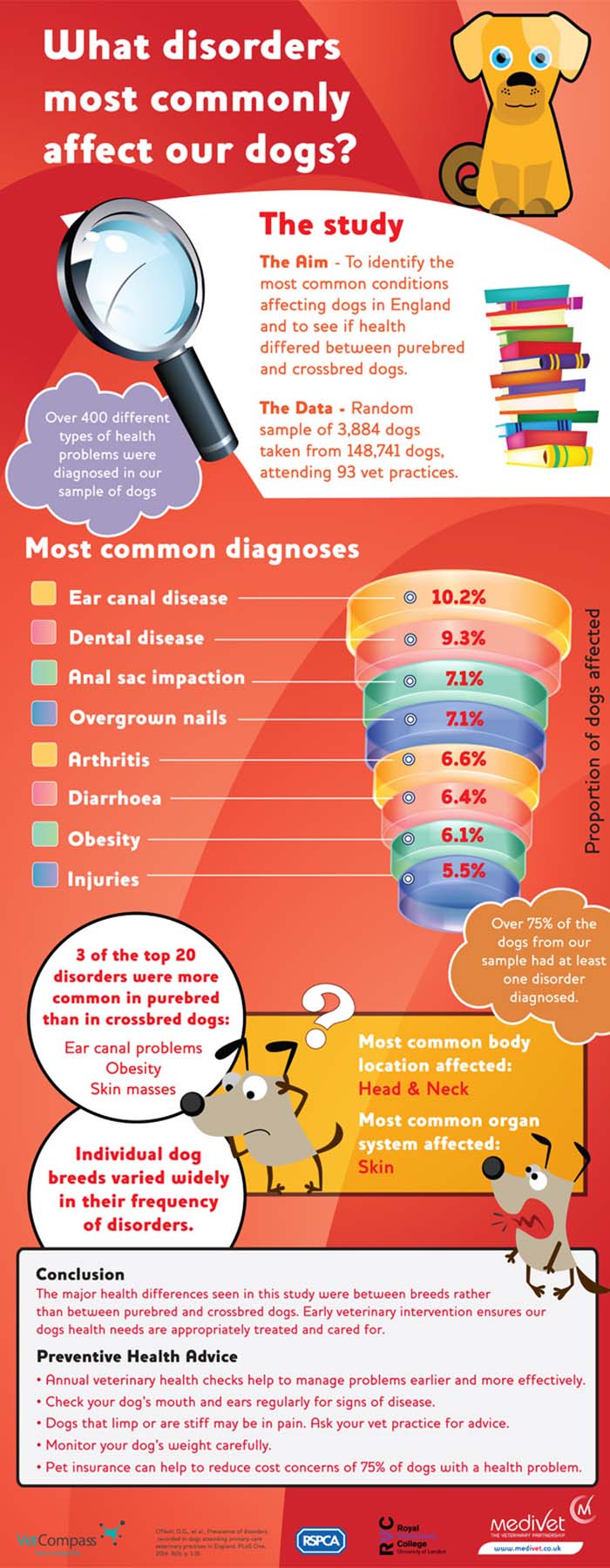 Can You Catch Diseases From Dogs