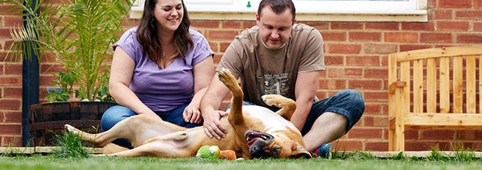 what does rehoming mean for dogs