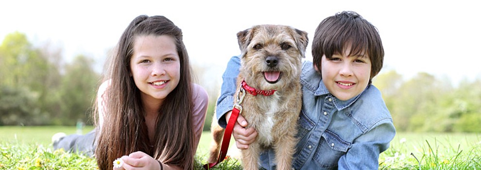 Engaging young people who support animal charity | RSPCA