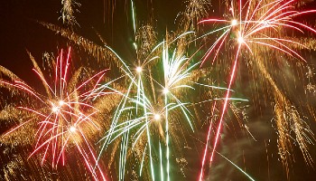 Bangoutoforder Make Fireworks Less Frightening For Animals