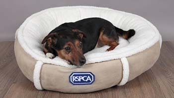 quality dog beds uk