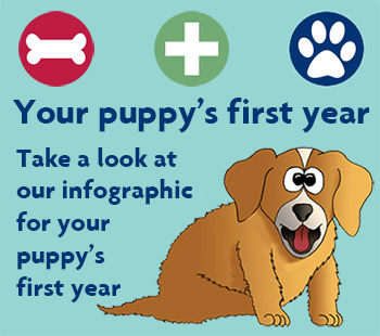 puppy care sheet