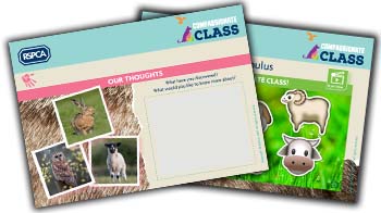 RSPCA Compassionate Class Starter Activity Preview
