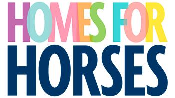 Horses & ponies near you need rehoming today | RSPCA