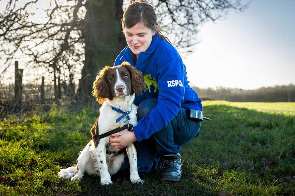 woman kneeling down with white and brown dog in a field