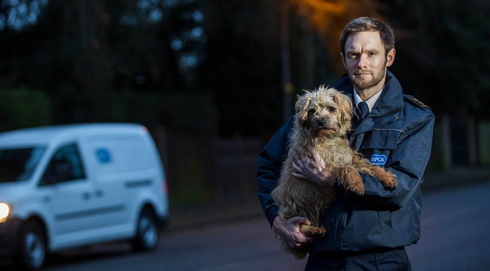 Rspca store dogs home