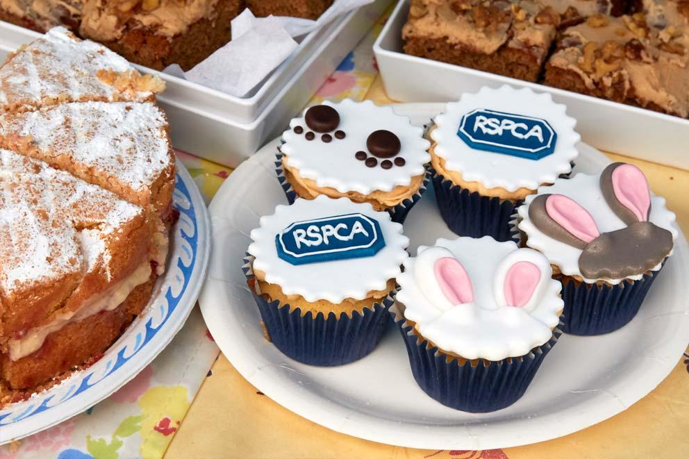 Cup cakes for sale on a stall.