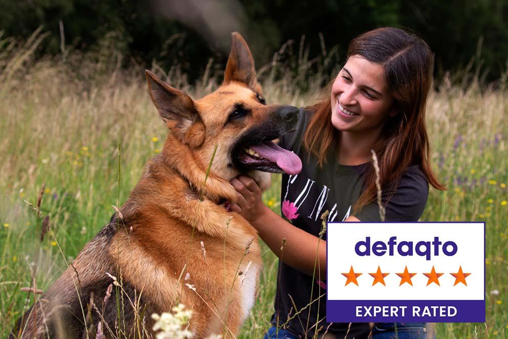 Dog being pet by a woman in a field