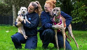 Rspca dog store kennels near me