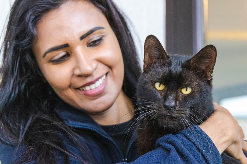 A wildlife casualty volunteer holding a black cat called Raven at Blackberry Farm Animal Centre.