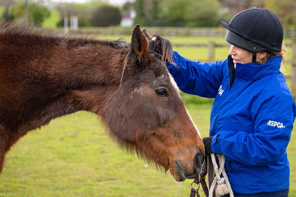 Stable Supervisor Charlotte Neary with a pony at  RSPCA Millbrook Animal Centre.