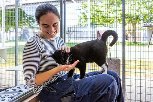 Woman sat while a black and white kitten stands on her lap, she is smiling and feeding him