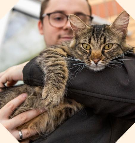 Man holding cat in his arms