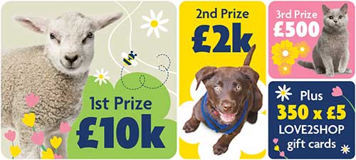 RSPCA Charity Raffle | RSPCA - RSPCA - Rspca.org.uk