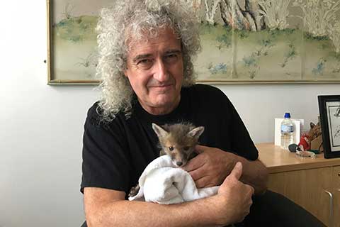 Brian May High profile supporter RSPCA RSPCA rspca