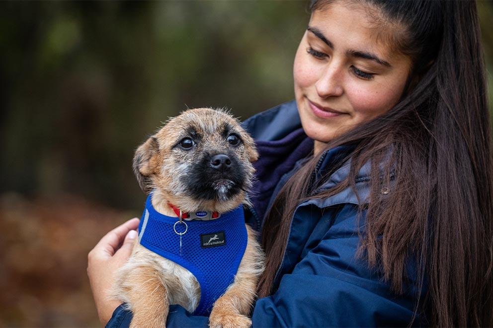 Woman in blue coat holding small dog wearing blue harness