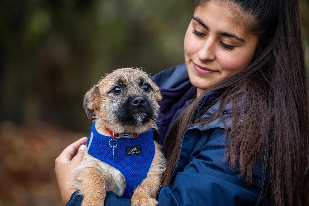 Woman in blue coat holding small dog wearing blue harness