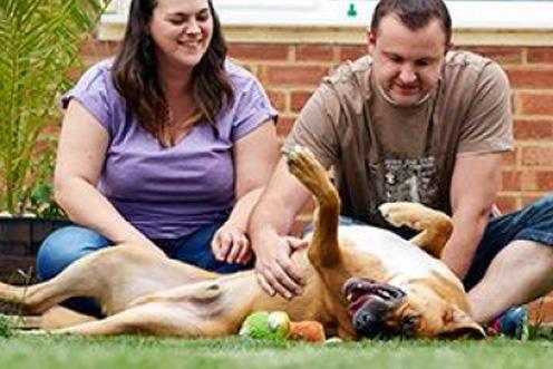 A man and a woman sat on the grass playing with their dog