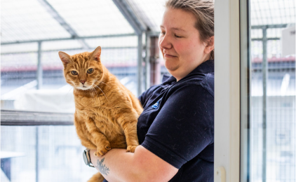 An RSPCA animal care assistant holding ginger cat in her arms.