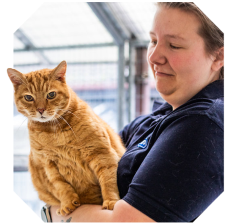 An RSPCA animal care assistant holding ginger cat in her arms.