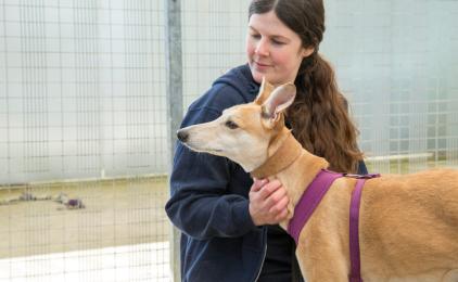 Emma the animal behaviour specialist with rescued dog Millie at an RSPCA animal centre.