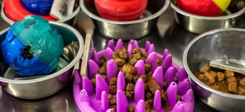 Close-up of a dog treat in a bowl next to dog food.