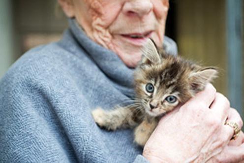 volunteer holding a cat