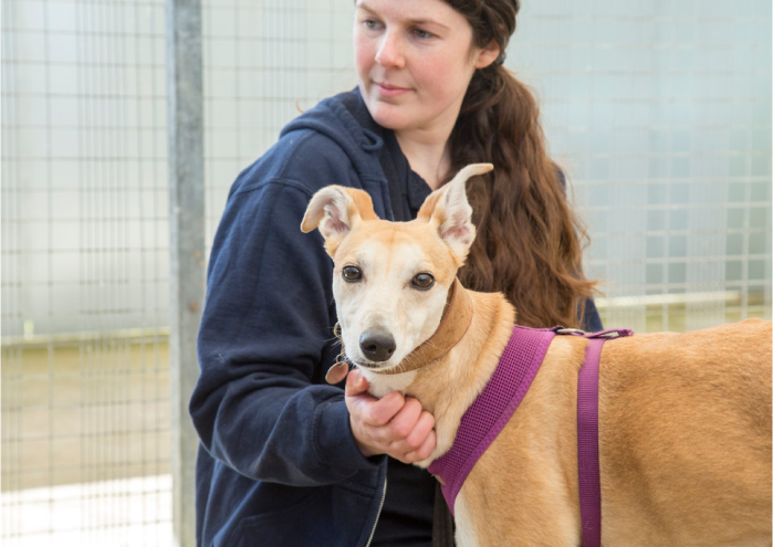 Animal behaviourist Emma with Millie the rescue dog together in the dog kennel at the RSPCA animal centre.