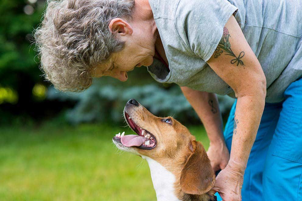 A woman in a grey t shirt bends down to look at dog who is looking back up at her