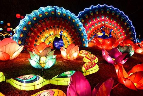 Brightly coloured lanterns used in a night time parade.