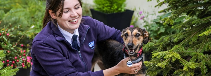 Animal rescue best sale centres south west