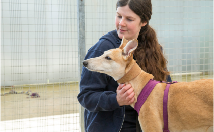 Millie the rescue dog with animal behaviourist Emma inside one of the dog kennels.