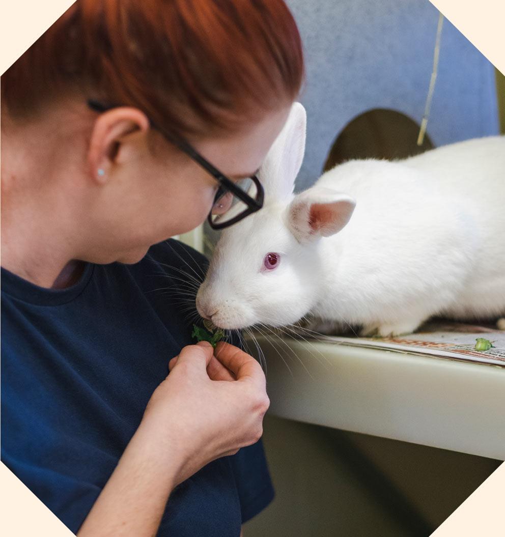 White rabbit with red eyes being fed by red haired woman wearing glasses